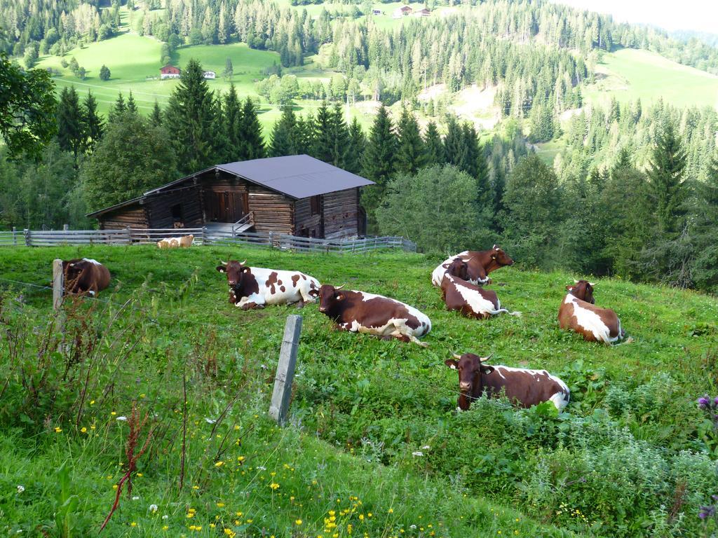 Appartements Oberhof Wagrain Exteriér fotografie